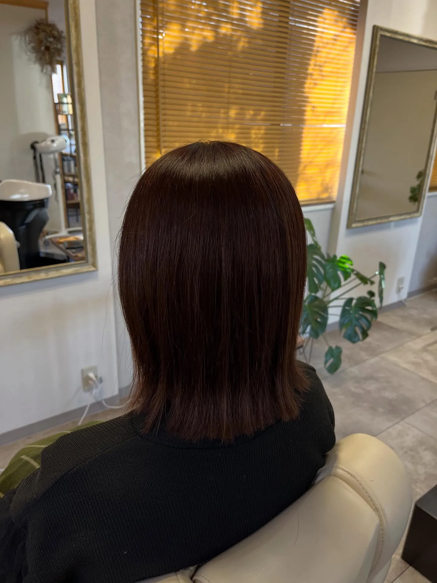 メテオストレート