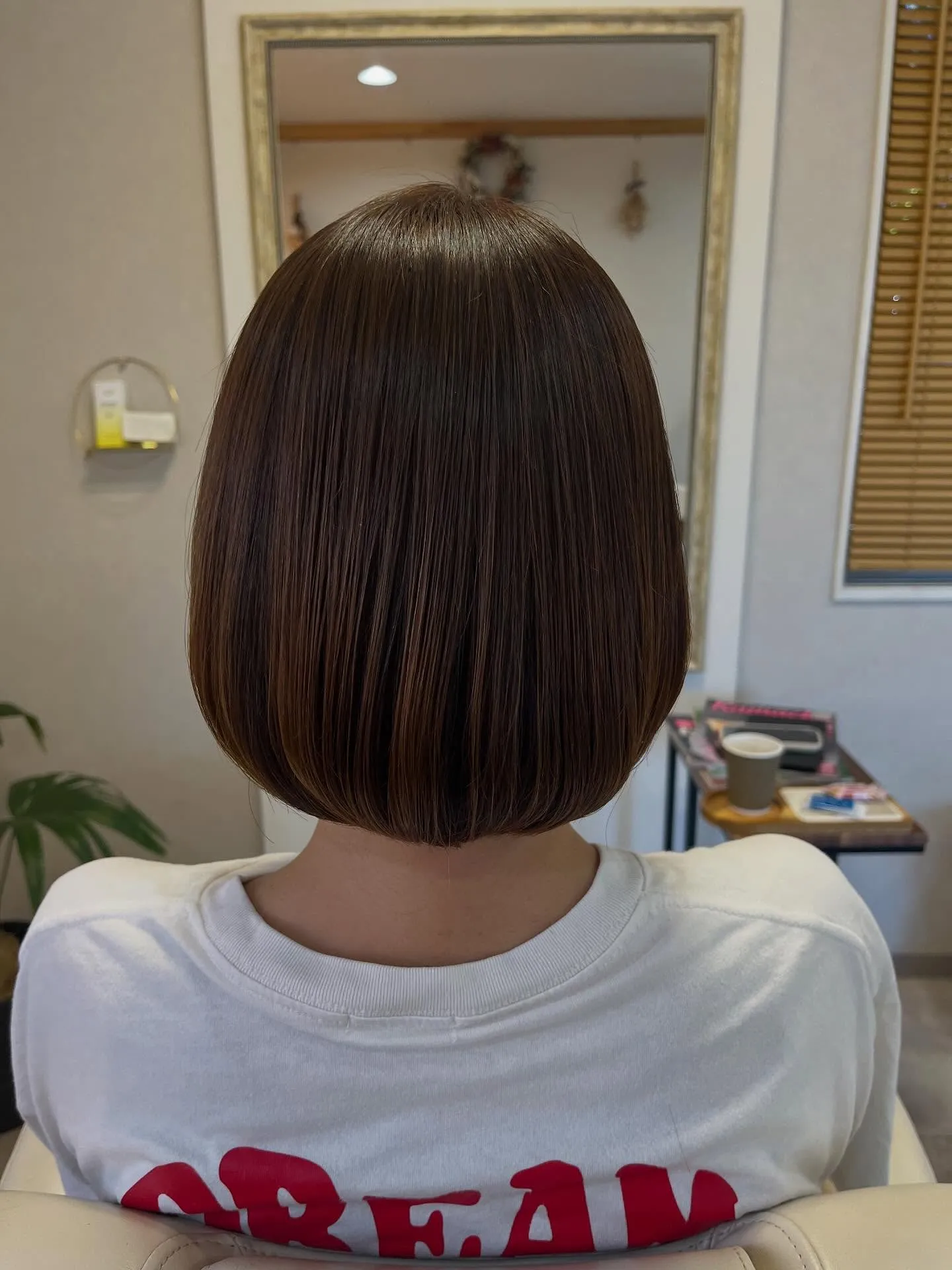 ✨ストレート特集✨
